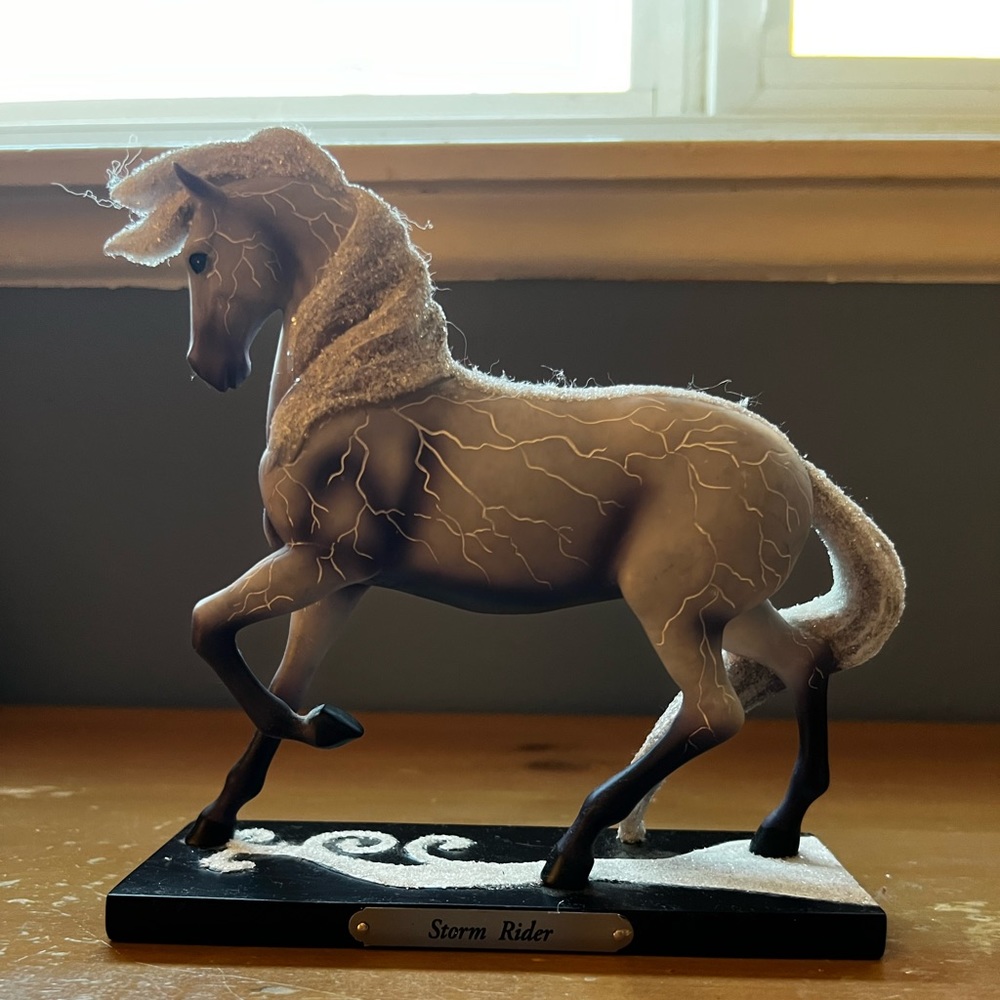 •Storm Rider• The Trail of the Painted Ponies